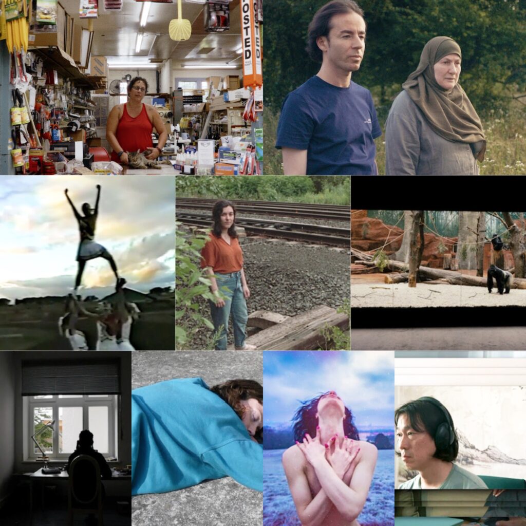 مجموعة صور مصغرة مجمعة تعرض مشاهد فنية متنوعة من الأفلام الوثائقية الطويلة والقصيرة المرشحة لنيل جائزة Doc Alliance Award 2026.