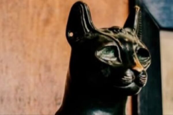 تمثال أسود لقطة فرعونية (باستيت) معروض داخل المتحف يبرز التنوع الحضاري والثقافي للمقتنيات
